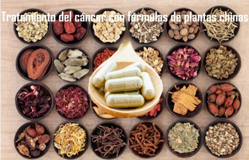 Tratamiento complementario del cáncer con fórmulas de plantas chinas
