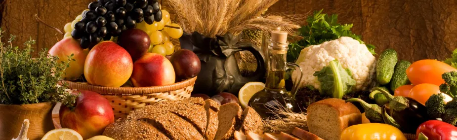 nutrición y alimentación nutrición y alimentación