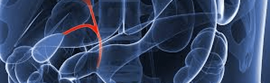 Cáncer vías biliares tratamiento natural Tratamiento natural cáncer vías biliares