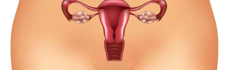 Ovario poliquístico tratamiento natural