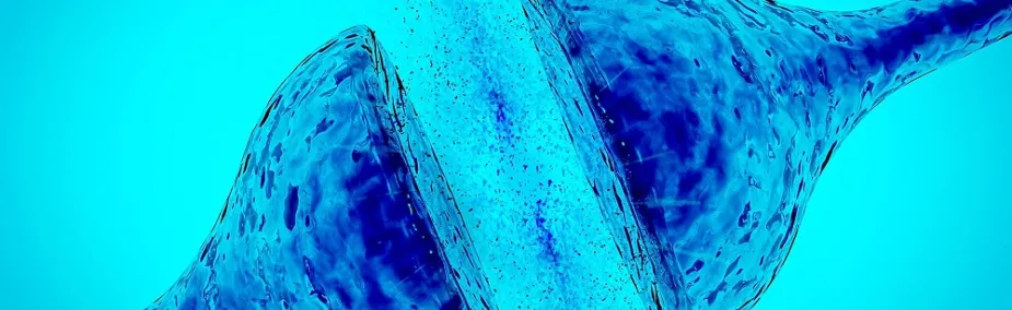 Terapia neural en Barcelona. Dra. Esther Ibáñez Terapia neural en Barcelona por la Dra. Esther Ibañez para tratamiento del dolor, cicatrices y sistema nervioso